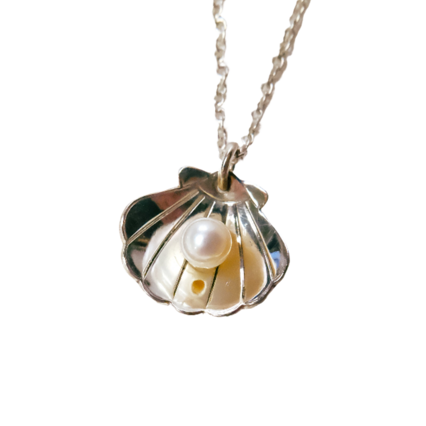 Pearl Treasure Shell Necklace